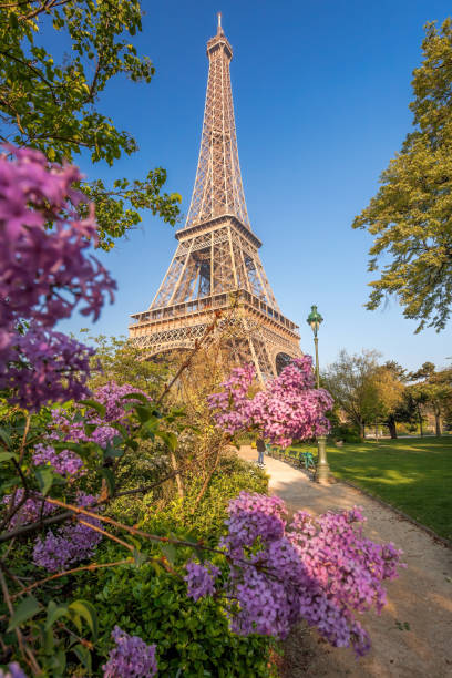 france1